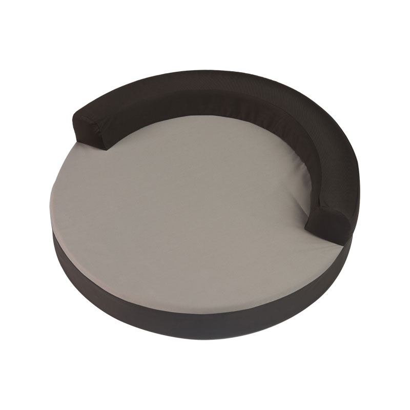 Mga benepisyo ng memorya ng alagang hayop ng alagang hayop